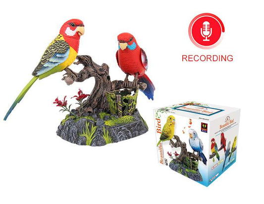 A Pair of Recording Functional Bird Eastern Rosella the Ensemble Bird Beautiful Birds Gifts Toy Pen Pencil Holder